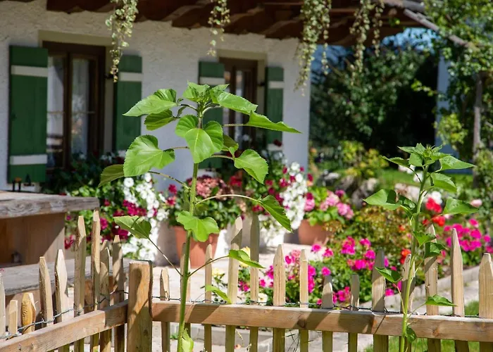 Ramslerhof - Chiemgau Karte Фермерский дом *