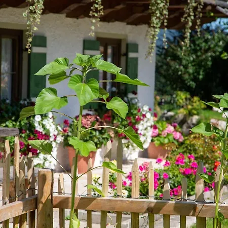 Ramslerhof - Chiemgau Karte Agroturismo *